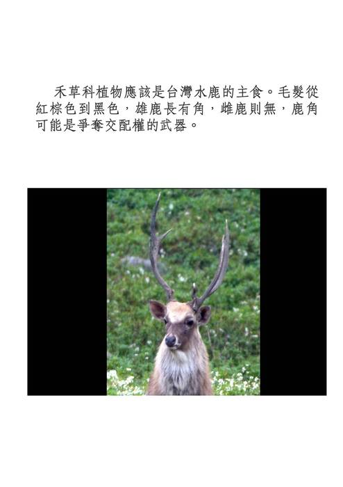 210-14許悠