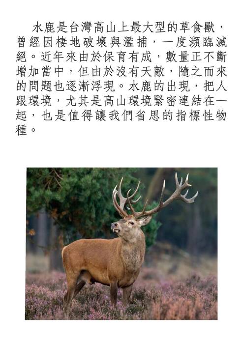 210-14許悠