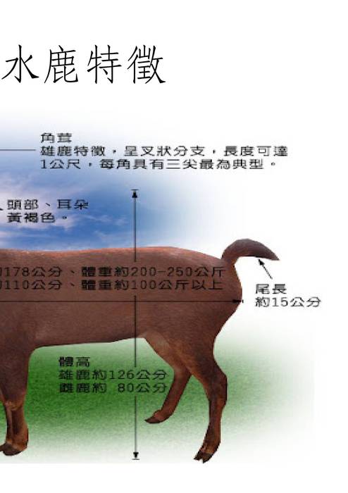 210-14許悠