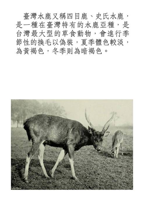 210-14許悠